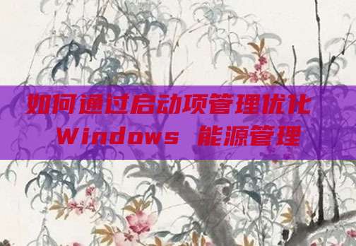 如何通过启动项管理优化 Windows 能源管理
