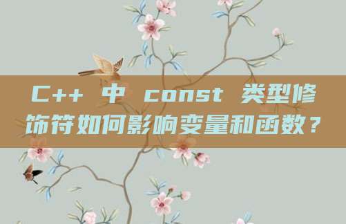 C++ 中 const 类型修饰符如何影响变量和函数？