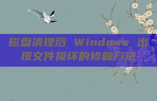 磁盘清理后 Windows 出现文件损坏的修复方法