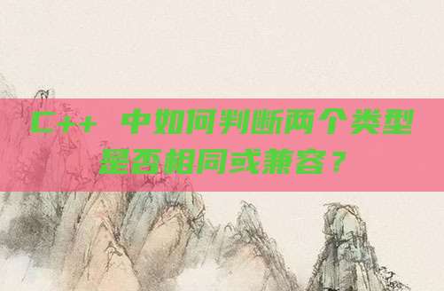C++ 中如何判断两个类型是否相同或兼容？