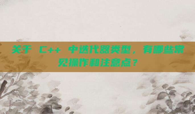 关于 C++ 中迭代器类型，有哪些常见操作和注意点？