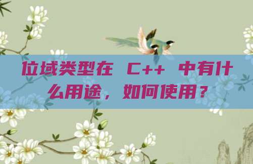 位域类型在 C++ 中有什么用途，如何使用？