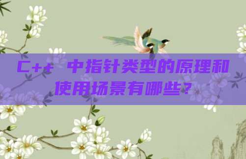 C++ 中指针类型的原理和使用场景有哪些？