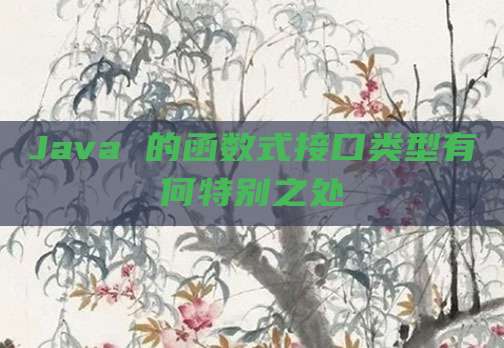 Java 的函数式接口类型有何特别之处