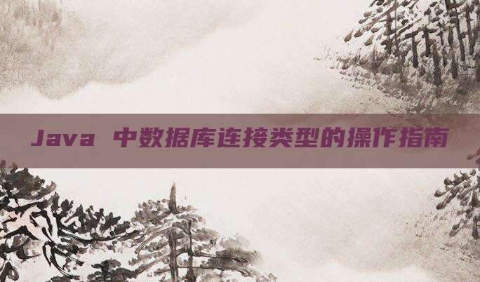 Java 中数据库连接类型的操作指南