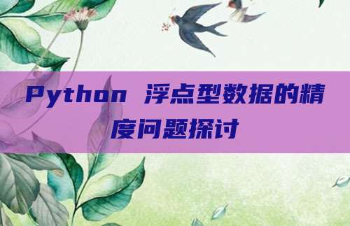 Python 浮点型数据的精度问题探讨