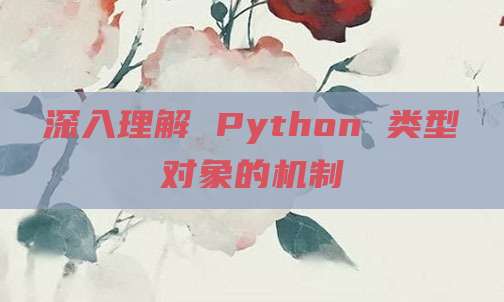 深入理解 Python 类型对象的机制