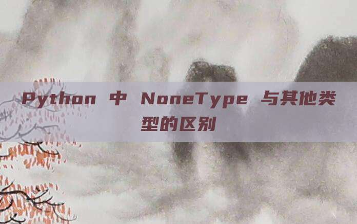 Python 中 NoneType 与其他类型的区别