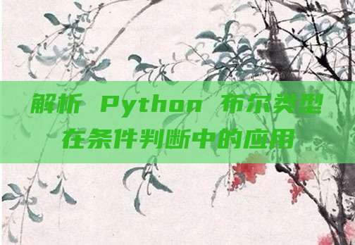 解析 Python 布尔类型在条件判断中的应用