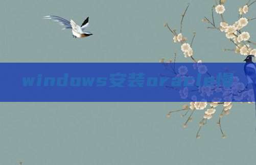 windows安装oracle慢