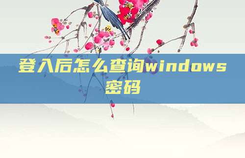 登入后怎么查询windows密码