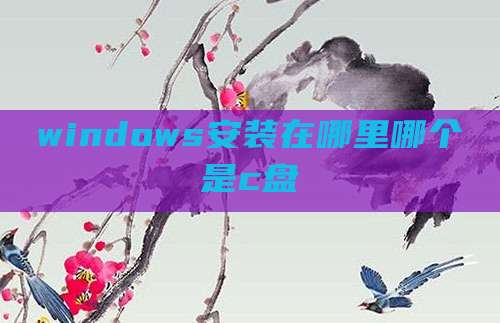 windows安装在哪里哪个是c盘