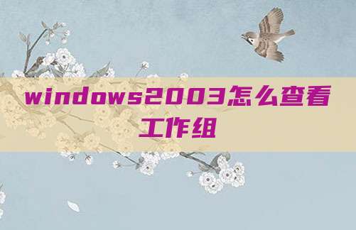windows2003怎么查看工作组