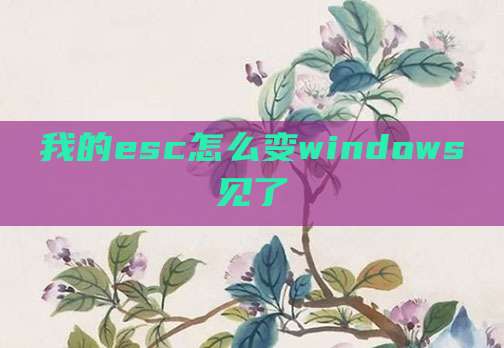 我的esc怎么变windows见了