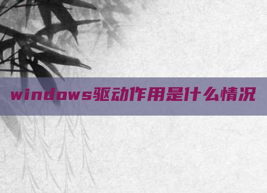 windows驱动作用是什么情况