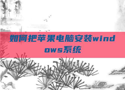 如何把苹果电脑安装windows系统
