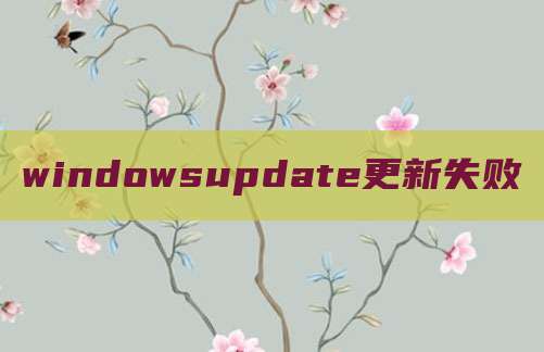 windowsupdate更新失败