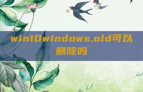 win10windows.old可以删除吗