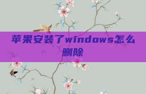 苹果安装了windows怎么删除