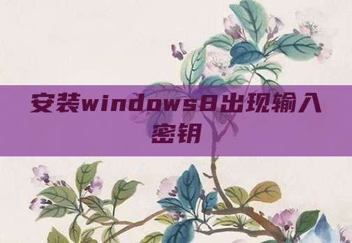 安装windows8出现输入密钥