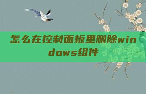 怎么在控制面板里删除windows组件