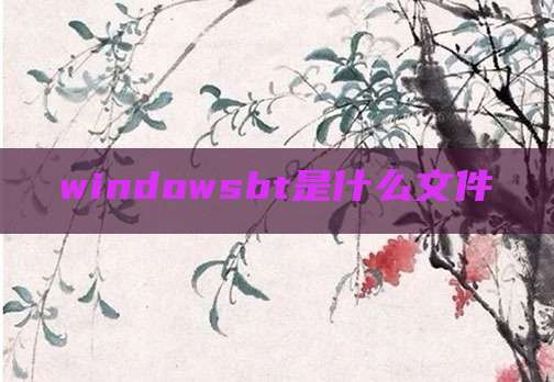 windowsbt是什么文件