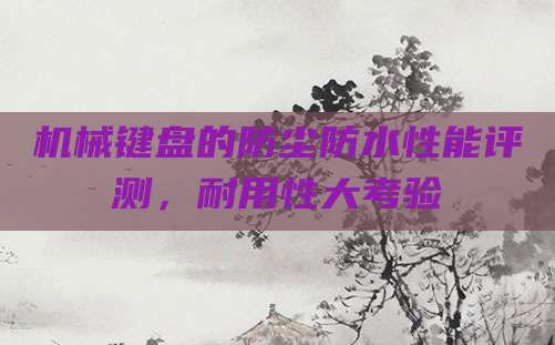 机械键盘的防尘防水性能评测，耐用性大考验