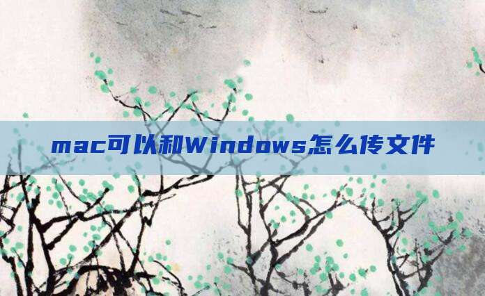 mac可以和Windows怎么传文件