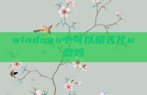 windows中可以格式化u盘吗