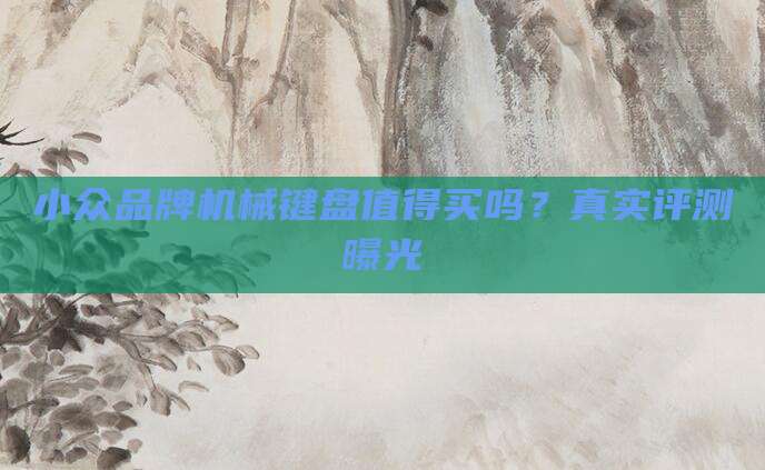 小众品牌机械键盘值得买吗？真实评测曝光