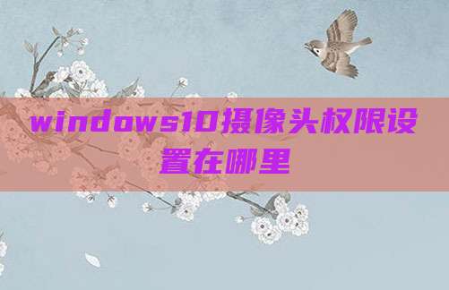 windows10摄像头权限设置在哪里