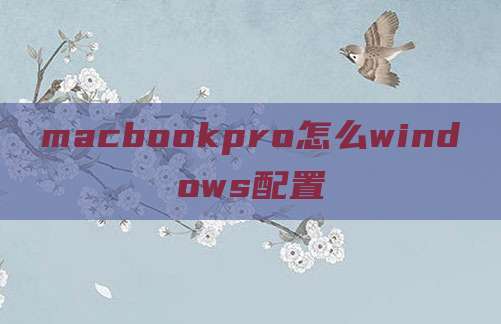 macbookpro怎么windows配置