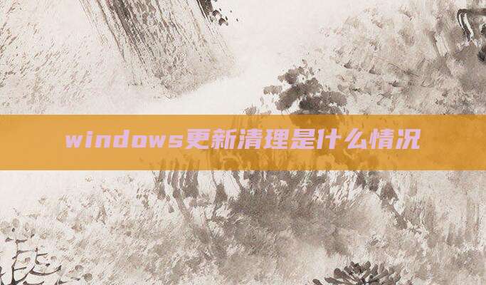 windows更新清理是什么情况