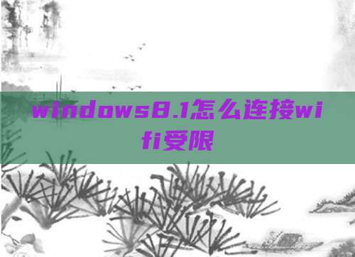 windows8.1怎么连接wifi受限
