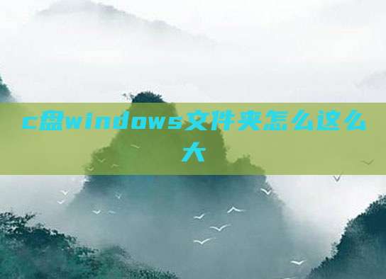 c盘windows文件夹怎么这么大