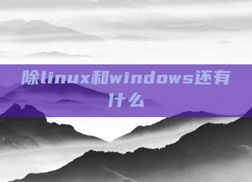 除linux和windows还有什么