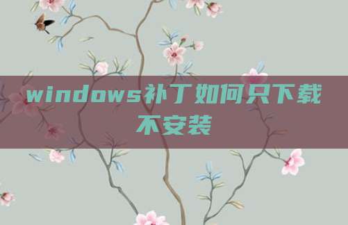 windows补丁如何只下载不安装