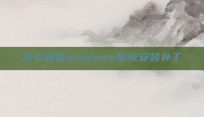 怎么查看windows系统安装补丁