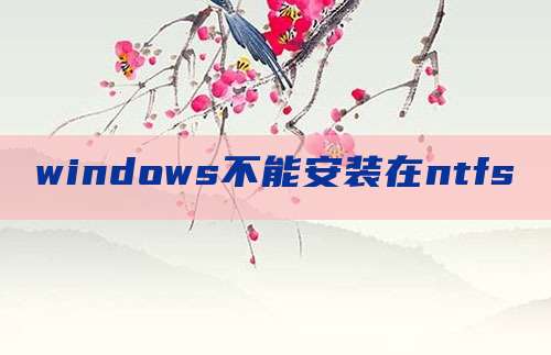 windows不能安装在ntfs