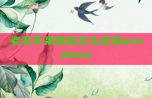 老款苹果鼠标怎么连接windows