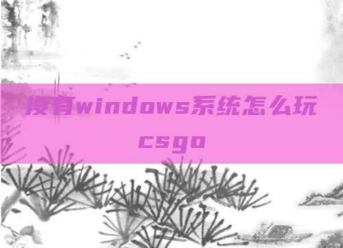 没有windows系统怎么玩csgo