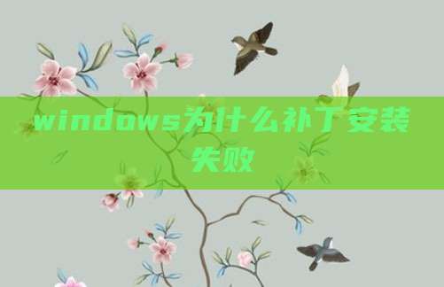windows为什么补丁安装失败