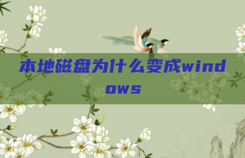 本地磁盘为什么变成windows