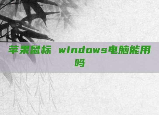 苹果鼠标 windows电脑能用吗
