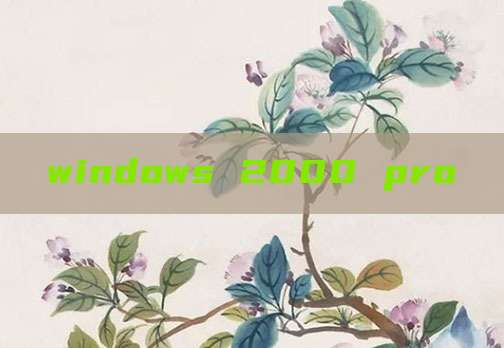 windows 2000 pro