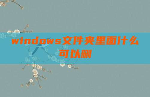 windows文件夹里面什么可以删