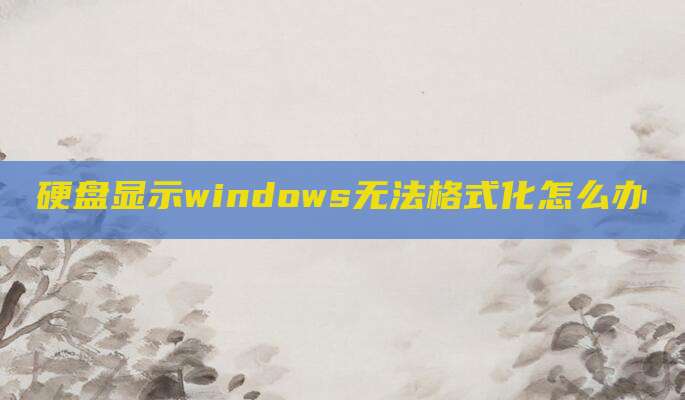 硬盘显示windows无法格式化怎么办