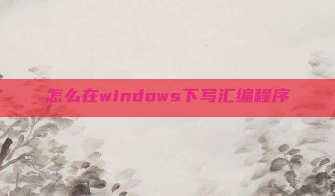 怎么在windows下写汇编程序
