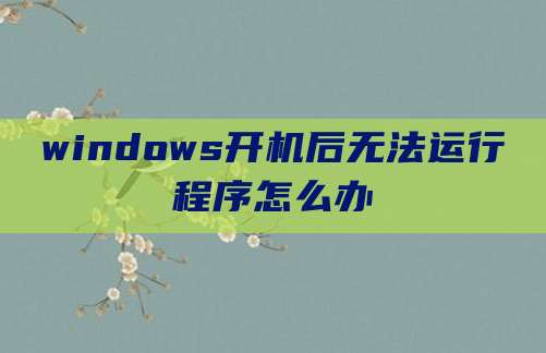 windows开机后无法运行程序怎么办