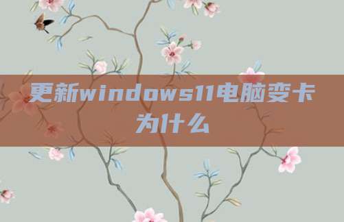 更新windows11电脑变卡为什么